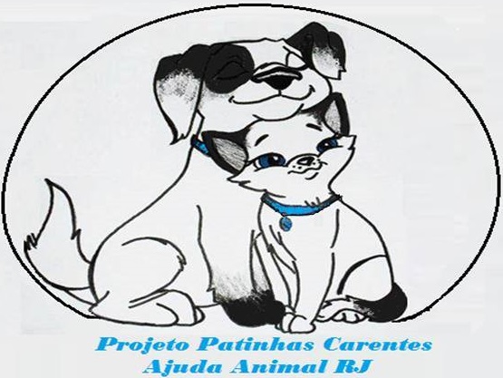 parceiro 3