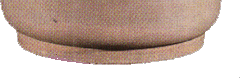 piedi e' circolarmente