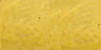 ki_yuu(giallo)