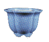 la forma del fiore(Ume):5 petali(BAIKA)