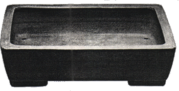 rettangolare(CHOHO~)