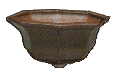 ottangonale(HAKKAKU)