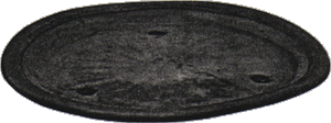 circolare(MARU)