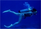 Diving