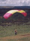 Paragliding