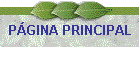 P�GINA PRINCIPAL