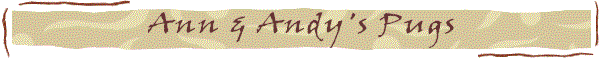 PugBanner.gif (5894 bytes)