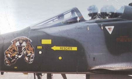Avion Supers�nico de Combate: SEPECAT JAGUAR FAE, con su esquema t�ctico mim�tico apto para camuflarse en zona selv�tica, aterrizando