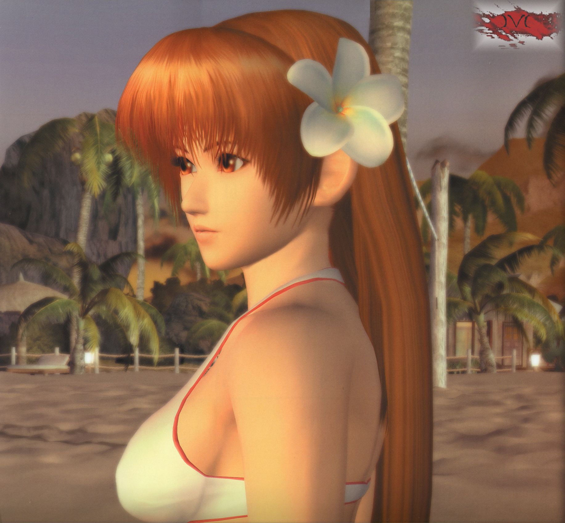 DOA_29.jpg