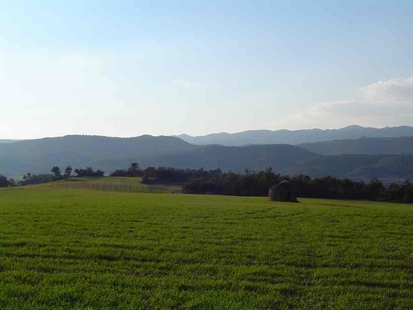 Pla de la Gabriela