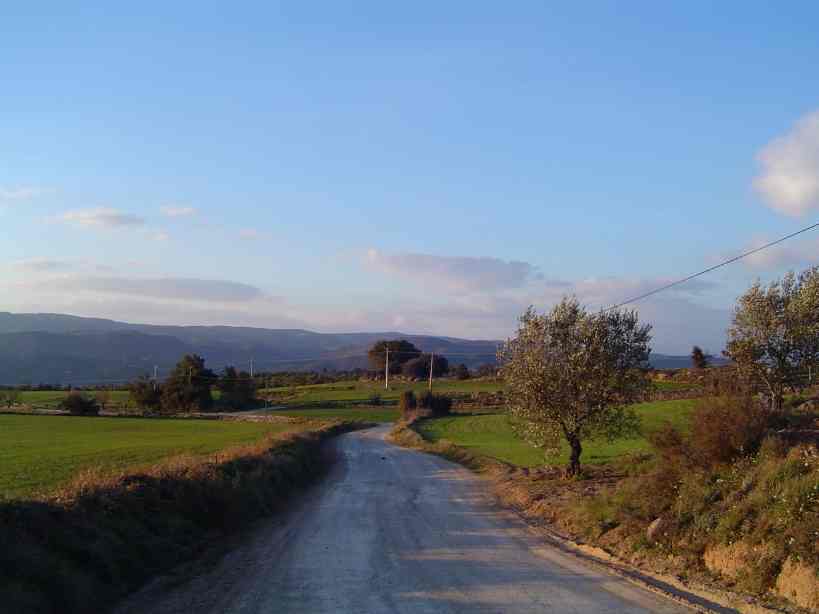 Pla de la Gabriela