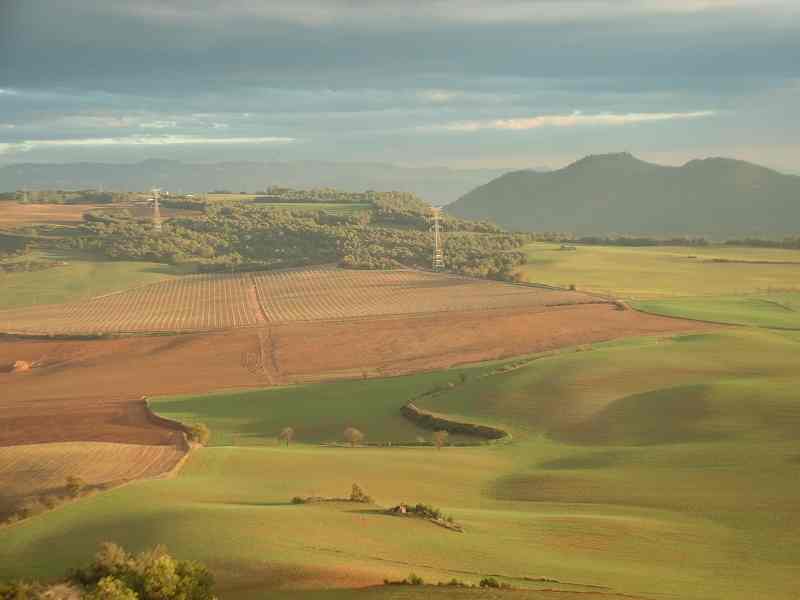 Finca de Jaumandreu