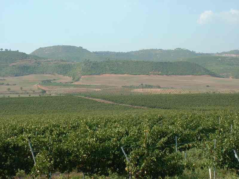 Finca de Jaumandreu