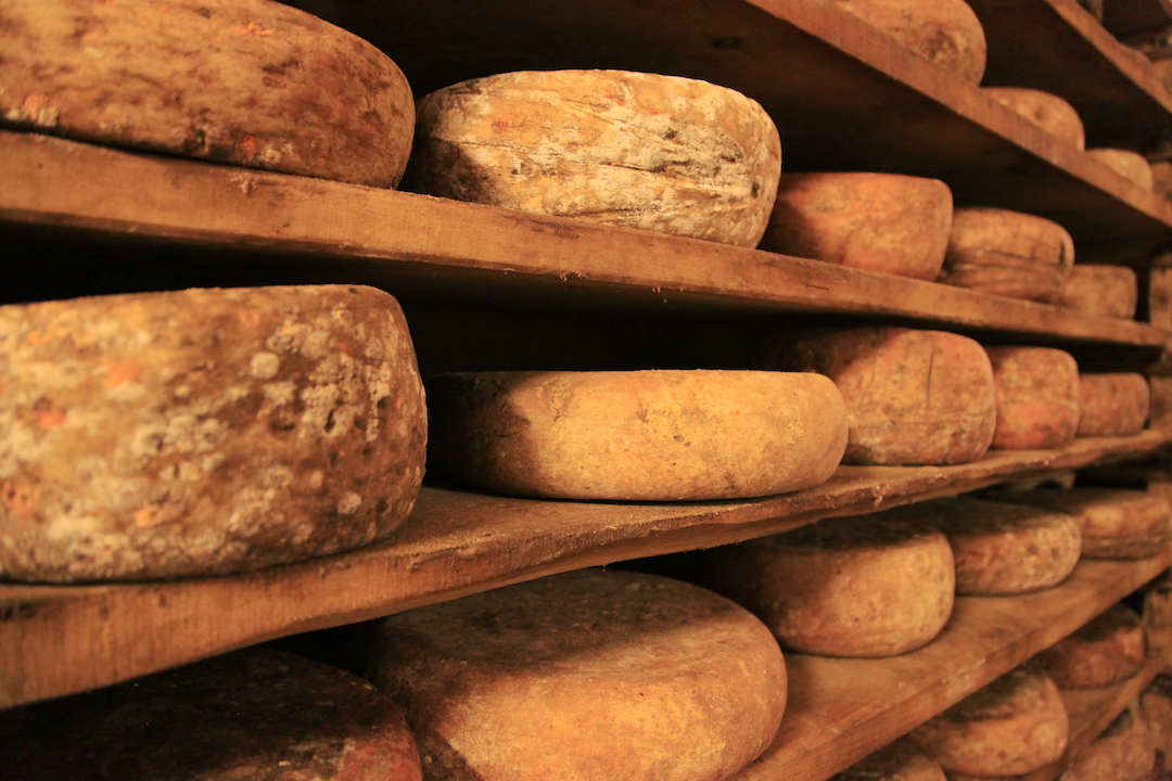 Italian Cheeses