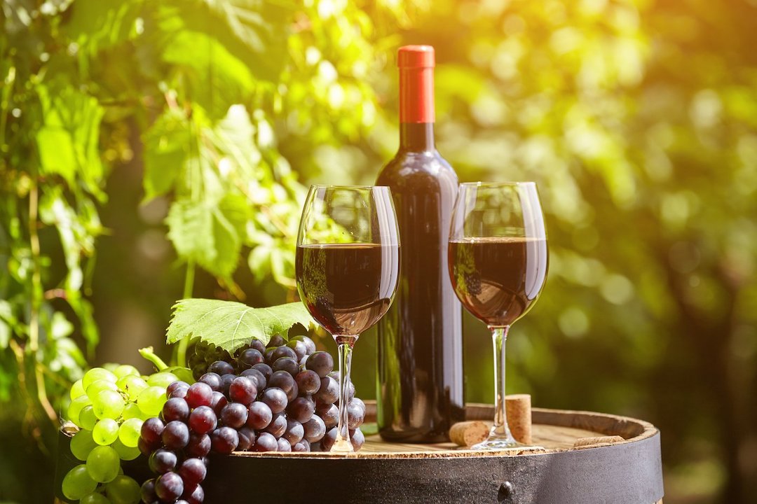 Image of Vineyard