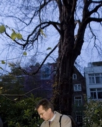 [the judge and the tree]