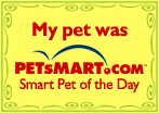 Smart Pet of the Day