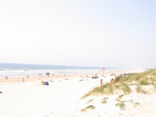 praiaCostaWG.gif (1377 bytes)