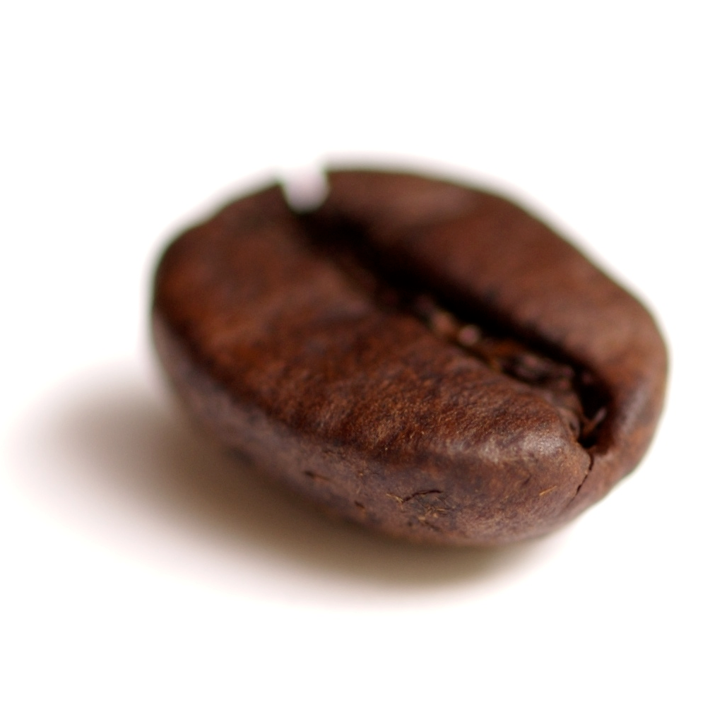 coffee bean