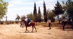 Caballos