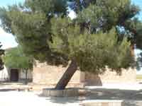Ermita de El Socorro