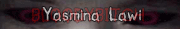to Yasmina's Website