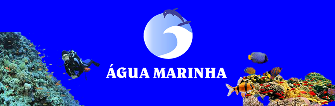 Baner.png