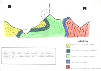tall geol�gic
