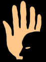 comp3.jpg (46402 bytes)