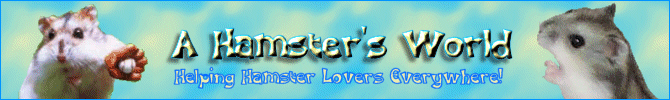 A Hamster's World