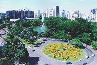 Bosque dos Buritis