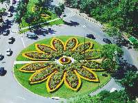 Bosque dos Buritis