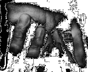 entre...