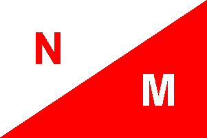 nuevamontana
