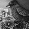 bird1