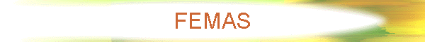 FEMAS