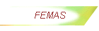 FEMAS