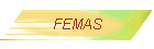 FEMAS