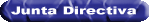 JUNTA DIRECTVA