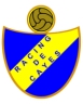 racingcayes2.gif