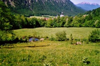Das Biotop unserer Umweltgruppe mit Blick auf das Kloster Ettal