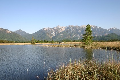 Der Krebssee im Murnauer Moos