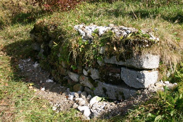 Die alte Trockenmauer, die bereits 1991 f�r Eidechsen aufgestellt wurde.