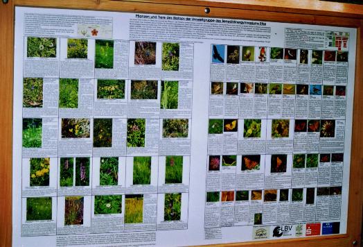 Informationstafel �ber die Flora und Fauna unseres Biotops