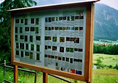 Informationstafel �ber die Flora und Fauna unseres Biotops