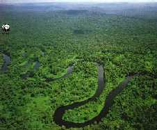 Amazonas (S�damerika)