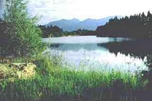 Murnauer Moos