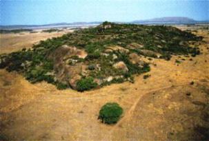 Grash�gel in der Serengeti bieten vielen Tieren eine Heimat