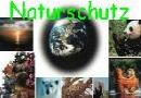 Lernen Sie spannendes �ber den Naturschutz bei uns und weltweit kennen!