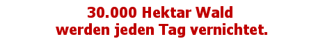 Ein Klick rettet wertvollen Regenwald !!!